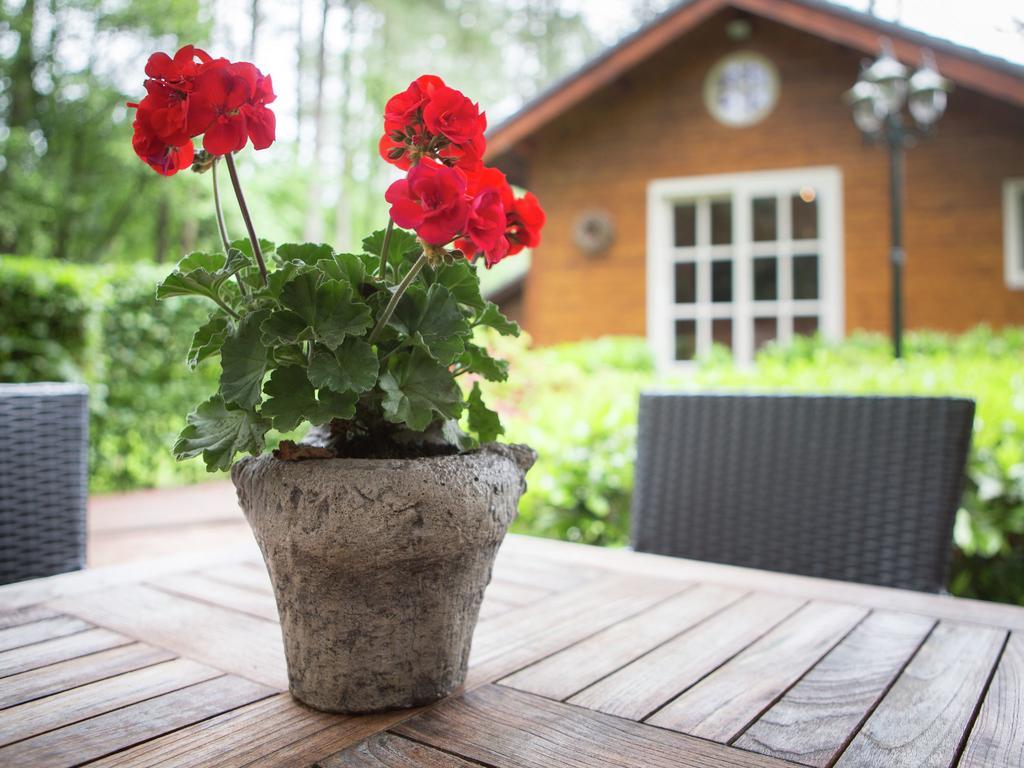 Luxurious Chalet In Oud Turnhout With Large Garden Villa Oud-Turnhout ภายนอก รูปภาพ