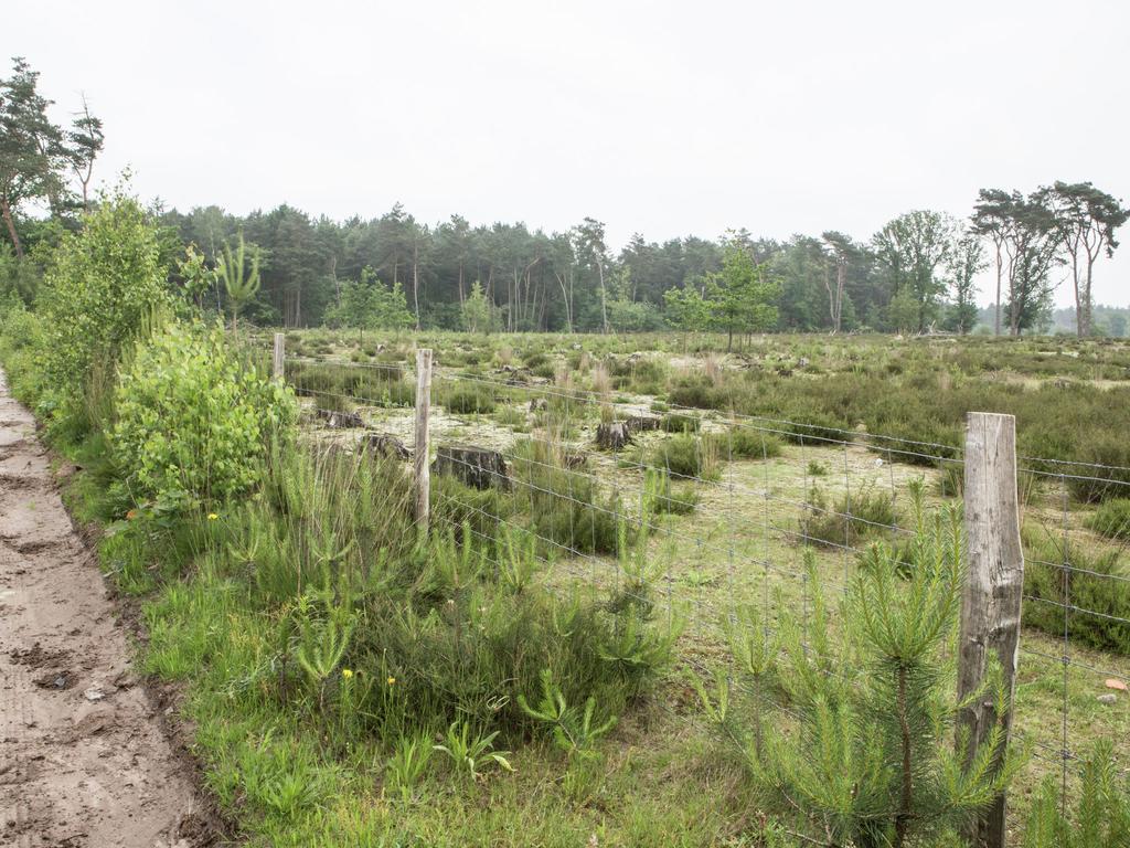 Luxurious Chalet In Oud Turnhout With Large Garden Villa Oud-Turnhout ภายนอก รูปภาพ